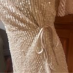 ZARA  Sequin Sheer‎ Flounce Sleeve A-Line Wrap Mini Dress Blush Pink Size Medium Photo 10