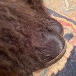 Sexy Bohemian Boots Adorable Brown Size 8 Photo 7