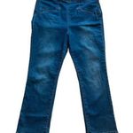 Pilcro and the Letterpress Anthropologie Pilcro High Rise‎ Denim Legging Capri Side Zip Jeans Size 32 Photo 0