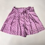 ZARA ’s Women High Waisted Polka Dot  Belted Style Shorts Sz S Photo 2