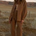 💕DOEN💕 Louvre Pant ~ High Waisted Pleated Ankle Pants Bark Brown 6 NWT Photo 6