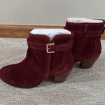 Diba True NWT Diba burgundy sleek buckle bootie Size 6 Photo 3