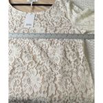 Rose + Olive Rose Olive Ivory Lace Bell Sleeve Scoop Neck Lined Top Blouse Women Size XL Photo 4