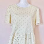Polagram Cream Yellow Polkadot Embroidered Floral Tulle Short Sleeve Dress. Photo 2