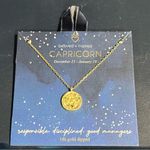 NWT! Beloved + Inspired 14K Gold Dipped 'Capricorn' Disc with Stones Necklace Photo 6