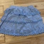 J.Crew  Skirt Photo 1