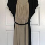 Sandra Darren Colorblock Dress Womens Size 10 Knee Length Sleeveless Black Khaki Photo 1