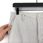 American Eagle  Pinstripe Straight Leg Pant Cream Blue 6R Photo 1