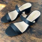 NWT Dream Paris Elegant Black Heeled Sandals Heels Formal Party Wedding Classic Size 9.5 Photo 1