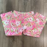 Lilly Pulitzer Vintage Cheeri-O Pants Pink Paisley Floral Butterfly Crop Capri 0 Photo 4