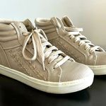 Brash Grey Hightop Sneakers Sz 6 Photo 0