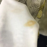 Milly Womens Size 4 Silk One Shoulder Yellow Grey Polka Dot Circle Pattern Dress Photo 3