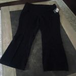 Briggs New York Women's Perfect Fit Pant Photo 3