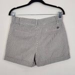 Lauren James  Dark Gray and White Stripe Seersucker Shorts Size XS Preppy Shorts Photo 3