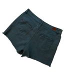 BDG Urban Outfitters High-Rise Teal Denim Shorts | Blue/Green | Size: 32 Photo 3