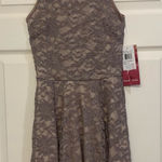 Emerald Sundae NWT  Beige Lace & Glitter Fit & Flare Glam Small Dress.     2824-G Photo 0