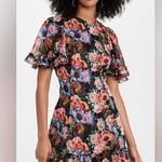 NWOT The Vampire's Wife The Mini Midnight Tremors Dress Size 2 Photo 1