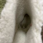 Marley Lilly Sherpa tie boots NOT monogrammed Photo 5