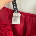 Rampage  Y2K Ruffle Rose Red Slip Lace Dress Large Coquette Valentines Babydoll Photo 3