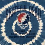 Grateful Dead blue and white tie-dye oversized T-Shirt Size Medium  Photo 1