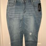 Relativity Size 18 Short Stretch Curvy Skinny Raw Hem Jeans Photo 3