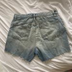 NSF Denim Shorts Blue Size 28 Photo 1