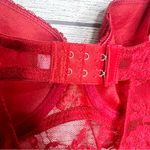 Jesebel Sheer Red Floral Lace Bustier Bra Top Chemise Slip Lingerie Size Large Photo 8