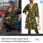 Cara Cara Millbrook Floral Dress in Green Botanical Birds in Size XS Photo 1