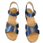 Tommy Hilfiger  Blue Wilo Wedge Platform Heels Size 9.5 Photo 2