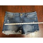 DL1961  Karlie Boyfriend Denim Short Bluegrass Size 29 Photo 8