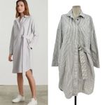 Everlane The Oxford Shirt Dress Striped White & Grey Button Down Size Small Photo 1