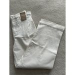 Madewell  The Emmett Wide-Leg Crop Jean: Welt Pocket Vintage Canvas Size 29T Photo 7