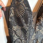 Nina Canacci nude and black lacy plunge neck formal dress 9140 Size 10 Photo 3