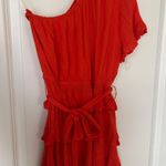 Impeccable Pig  Dress Photo 0