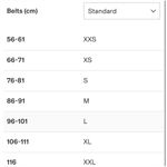 Isabel Marant Zaph silver Buckle Belt Photo 8