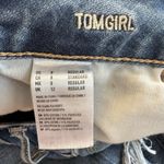 American Eagle  Jeans Women Size 8 Regular Tomgirl Distressed Ripped‎ Button Fly Photo 8