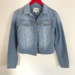 Jessica Simpson denim striped jacket S Photo 0