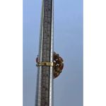 Vintage Gold Tone Coral Pink Peach Lucite Cabochon Ring stones Women’s Sz 8” Photo 4