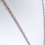 Betsey Johnson Copper Vintage Floral Medallion Necklace 18" Photo 2