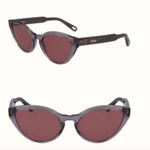 Chloé Chloe Willow 55 mm Cat Eye Sunglasses Black with purple lenses Photo 1