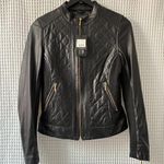 United Face black leather/fabric quilted moto jacket gold zippers women's med Photo 0