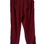 Anthropologie DOLAN LEFT COAST Northwestern Joggers Paperbag Pants, Sz M Size M Photo 2