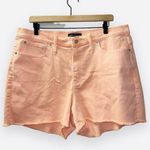 J.Crew  NWT L1647 Orange High Rise Garment-Dyed Cutoff Boy Short size 33 Photo 0