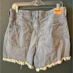 Hollister  Jean shorts Photo 1