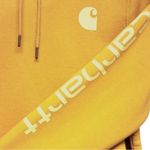 Carhartt  Clarksburg Relaxed Fit Midweight Graphic Hoodie Photo 2