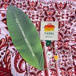 Farm Rio NWT  Tropical Cameo Belted Romper Size XS 100% Cotton Puff Sleeves Photo 7