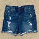 Jelly jeans High rise dark wash distressed denim shorts in size large Blue Photo 0