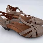 Cobb Hill Aubrey T Photo 1