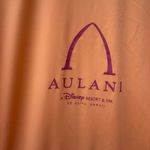 Disney Aulani Resort Spirit Jersey Orange Long Sleeve Swim Shirt UPF 50 LARGE Photo 2