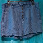 American Eagle shorts- size 16 Photo 0